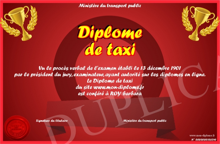 diplome taxi